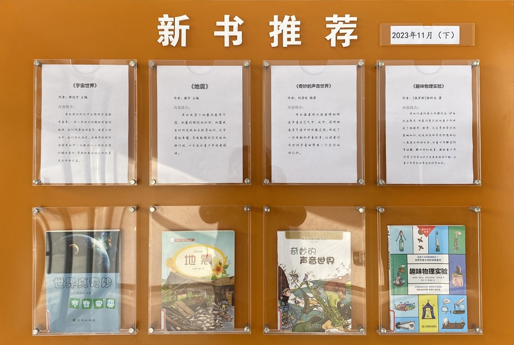 11下