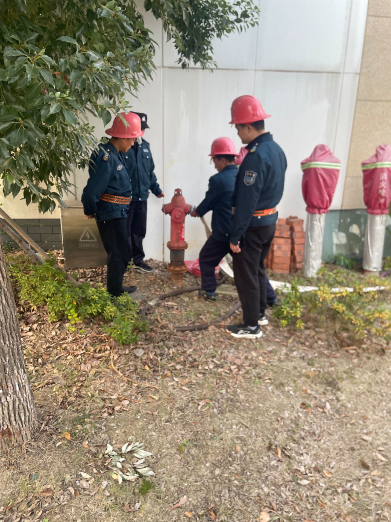 微信图片_20251202081344_19_218